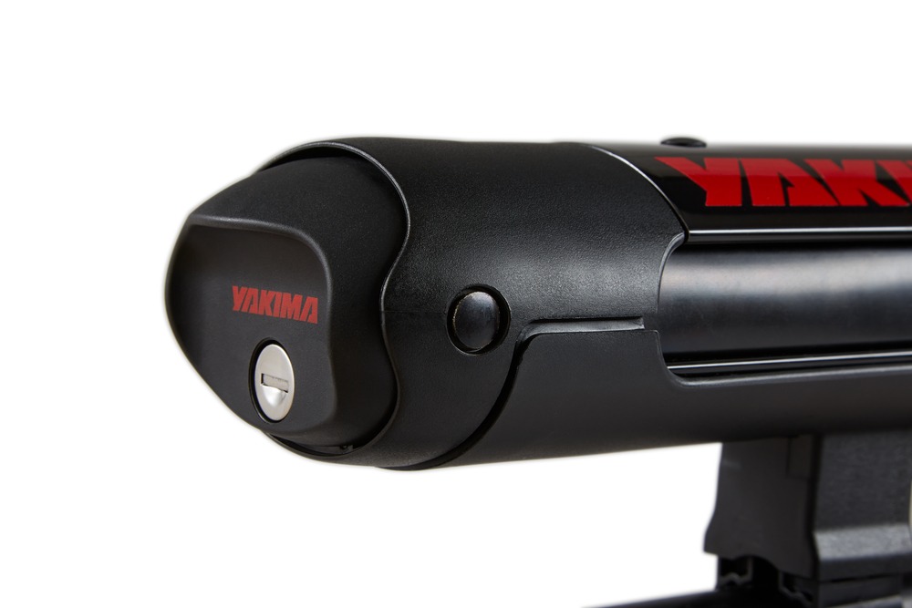 Web Use - jpg-5_FatCat